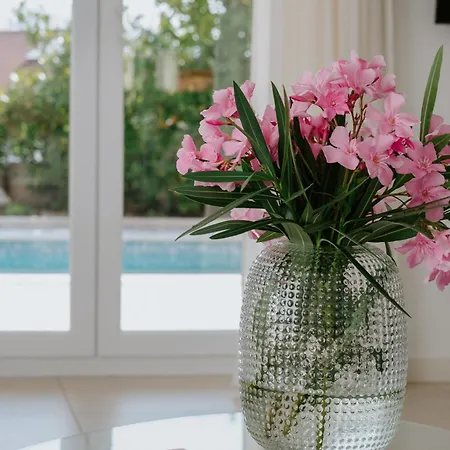 Vila Oleander By Domus Mirus - Rooftop Cinema & Pool & 6min Walk To
